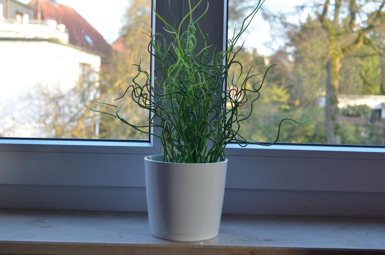Hotel Alter Giebel Kirchhellen Luaran gambar